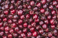 Background image of lying red ripe sweet cherries. Top view, flat lay. Copy space Royalty Free Stock Photo