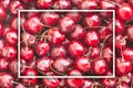 Background image of lying red ripe sweet cherries with white rectangular frame. Top view, flat lay. Copy space Royalty Free Stock Photo