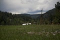 Background Image of Meadow in Colorado Valley