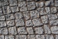 Background image of old cobblestone road backlit with low sunlight, Paving stones texture, Stone pavement with green grass. Royalty Free Stock Photo