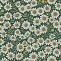 Background image of painted daisies. Green background.