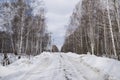 Background image of the snowy landscapes