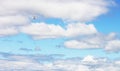Background image of Two birds flying aginst a blue and white cloudscape