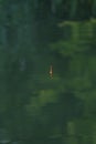 Close-up of fishing gear in the water with reflection, the texture of the water is green. A background image of the water surface Royalty Free Stock Photo