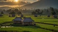 background of Indonesian rice fields under the blue sky at sunrise, men working in the rice fields, AI generated image Royalty Free Stock Photo