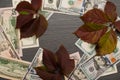 Background for the inscription on dollars and autumn leaves. Royalty Free Stock Photo