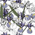 Background from iris flowers. Seamless pattern.