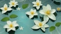 background Jasmine flower with water. for songkran day in thailand