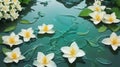 background Jasmine flower with water. for songkran day in thailand