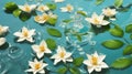 background Jasmine flower with water. for songkran day in thailand