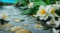 background Jasmine flower with water. for songkran day in thailand