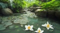 background Jasmine flower with water. for songkran day in thailand