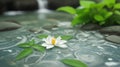 background Jasmine flower with water. for songkran day in thailand