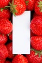 Background of juicy delicious strawberries, in the middle of a place to write a text Royalty Free Stock Photo