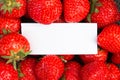 Background of juicy delicious strawberries, in the middle of a place to write a text Royalty Free Stock Photo