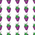 Background with juicy fruits. Fruit seamless pattern. Vector illustration Royalty Free Stock Photo