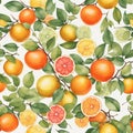 background juicy oranges, limes, lemons green leaves on a white background Royalty Free Stock Photo