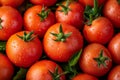 Background of juicy red wet fresh tomatoes, healthy food. The image is generated with the use of an AI. Royalty Free Stock Photo