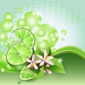 Background with juicy slices of lime fruit