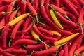 Background from jumbled ripe red and yellow pepperonis Royalty Free Stock Photo