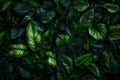 background jungle light nature colourful tree forest tropical leaf green palm. Generative AI.