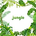 Background with jungle plants.