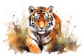 Tiger predator zoo cat nature head wildlife wild animal art illustration