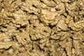 Background - kernels of peeled walnuts Royalty Free Stock Photo