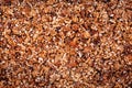 Background from a kernels of walnuts. Close-up texture of heap of unshelled walnuts, overhead view