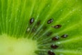 Background with kiwi macro Royalty Free Stock Photo