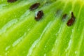 Background with kiwi macro Royalty Free Stock Photo