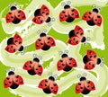 Background with ladybugs