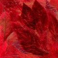 Background laid out of dried bright red and burgundy leaves from Royalty Free Stock Photo
