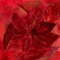 Background laid out of dried bright red and burgundy leaves from Royalty Free Stock Photo