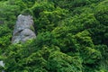 background, landscape - rocks among the mountain broad-leaved forest Royalty Free Stock Photo
