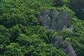 background, landscape - rocks among the mountain broad-leaved forest Royalty Free Stock Photo