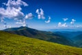 Background landscape with Ukrainian Carpathian Mountains in the Pylypets