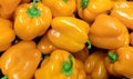 A background of a large number of large pods of sweet orange pepper Capsicum annuum