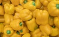 A background of a large number of large pods of sweet yellow pepper Capsicum annuum.