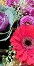 A bunch of bright colourful mixed flowers. Royalty Free Stock Photo