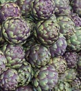 Background of large ripe artichokes for sale at the local fruit and vegetable market Royalty Free Stock Photo