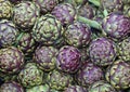 Background of large ripe green artichokes for sale at the local fruit and vegetable market Royalty Free Stock Photo