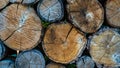 Background With Large Woodpile In The Summer Forest From Sawn Old Big Pine And Spruce De-barked Logs For Forestry Industry Royalty Free Stock Photo