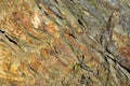 Background of a layered metamorphic rock Royalty Free Stock Photo