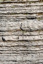 Background of Layered Rock - Stone of Lessinia italy Royalty Free Stock Photo