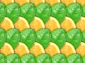 Background with lemon slices and green leaf Royalty Free Stock Photo