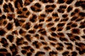 Background with the leopard print pattern