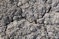 Background - lifeless saline soil