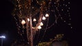 Background light bulbs outdoor on a wire against dusk forest, holiday concept