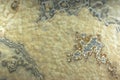 Background from a light yellow natural stone Onyx with bubbles and gray stains on the surface is called onix naranja veteado